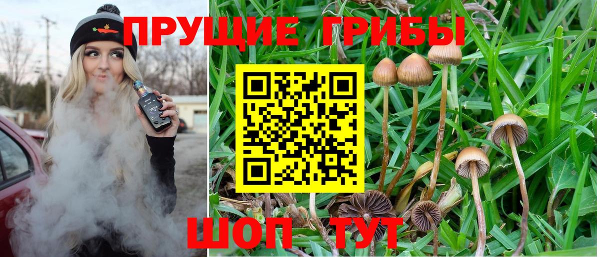 Псилоцибиновые грибы мицелий Керчь
