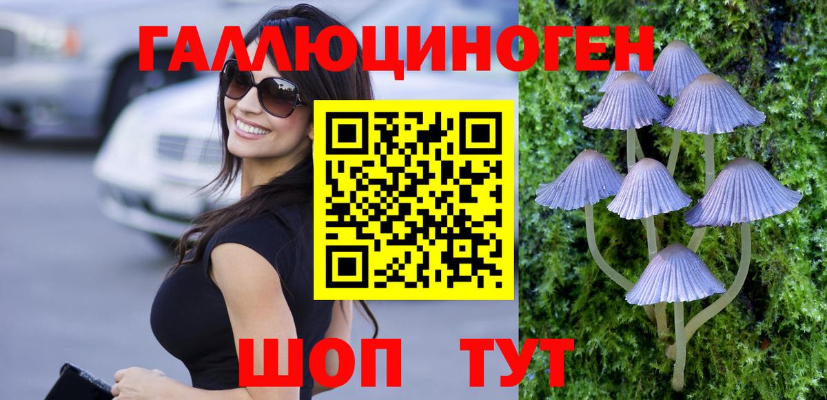 Галлюциногенные грибы прущие грибы  Галлюциногенные грибы мицелий  Керчь  Вход с VPN 
